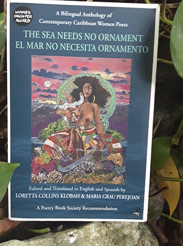 Book over, The Sea Needs No Ornament/ El Mar No Necesita Ornamento Image credit: Ann-Margaret Lim